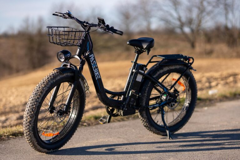 Miniatura Pasebike P26 Mate